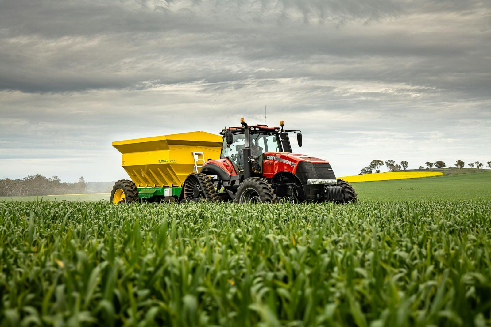 Agricultural tractor with spreader in crop field